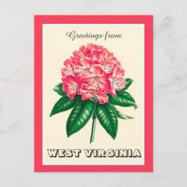 Cartão Postal Saudações de West Virginia Rhododendron