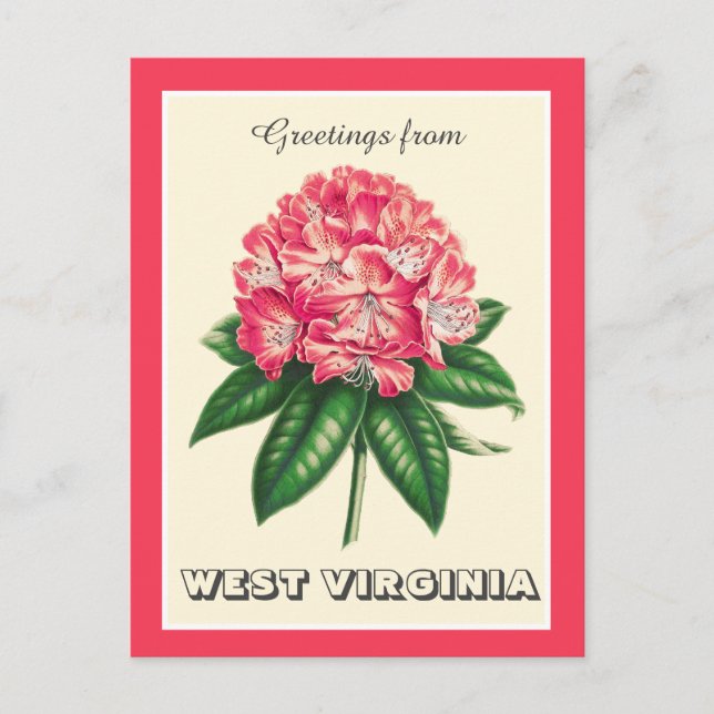 Cartão Postal Saudações de West Virginia Rhododendron (Frente)