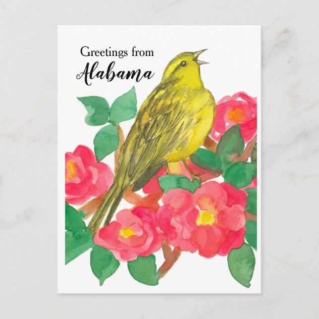 Cartão Postal Saudações do Alabama Yellowhammer Camellia (Frente)