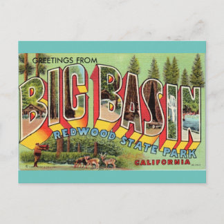 Cartão Postal Saudações do Big Basin California Vintage art