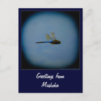 Cartão Postal Saudações do Cartaz do País de Férias