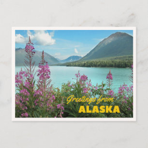 Cartão Postal Saudações do Cruzeiro de Verão do Alasca Retro