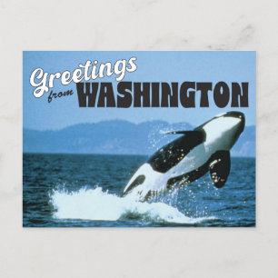 Cartão Postal Saudações do Estado de Washington com Orca Whale