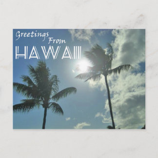 Cartão Postal Saudações Do Havaí - Palm Trees