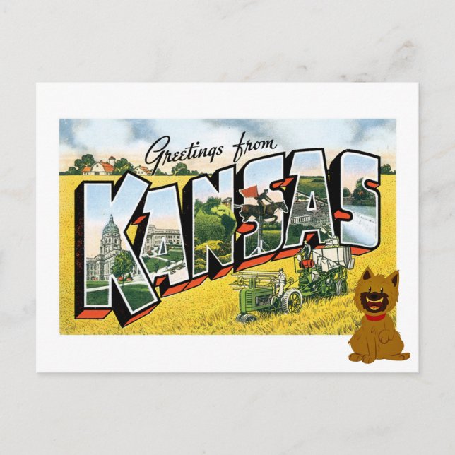 Cartão Postal Saudações do Kansas! Cairn Terrier Toto (Frente)