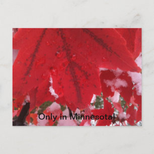 Cartão Postal Saudações do Minnesota