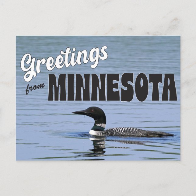 Cartão Postal Saudações do Minnesota com o Common Loon (Frente)