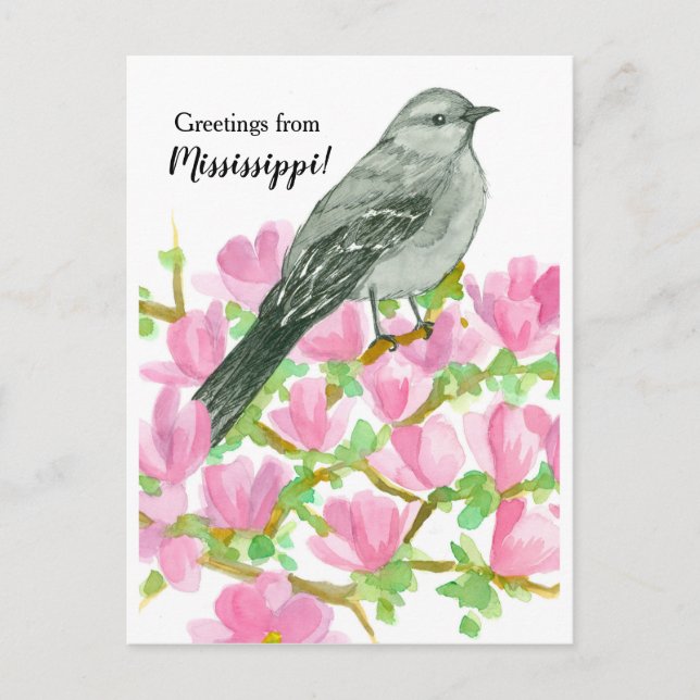 Cartão Postal Saudações do Mississippi Mockingbird Magnolia (Frente)