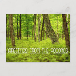 Cartão Postal Saudações do Poconos Summer Woods