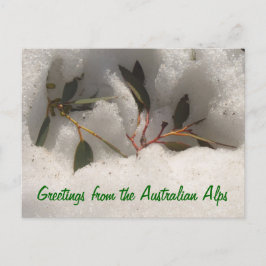 Cartão Postal Saudações dos Alpes australianos
