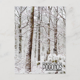 Cartão Postal Saudações dos Poconos!Florestas de Snowy Pocono