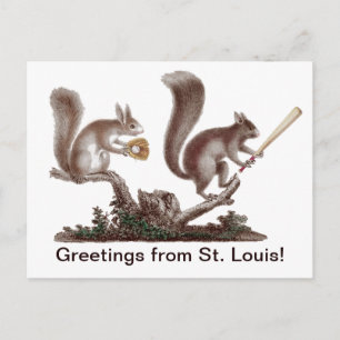 Cartão Postal Saudações engraçadas do esquilo Rally de St. Louis