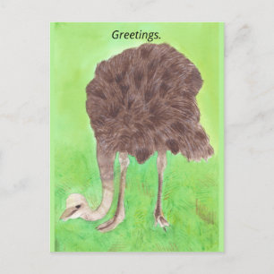 Cartão Postal Saudações, Seu Texto, Cartões-postais Ostrich