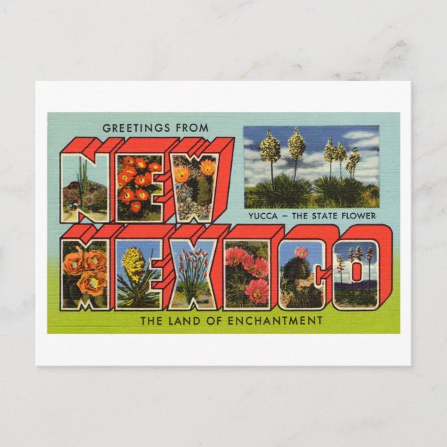 Cartão Postal Saudações Vintage do Novo México (Frente)