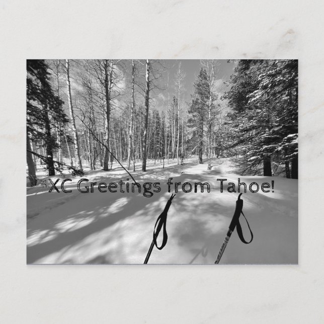 Cartão Postal Saudações XC de Tahoe! (Frente)