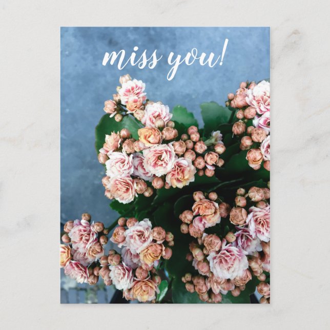 Cartão Postal saudades de você flores silvestres rosa hipster (Frente)