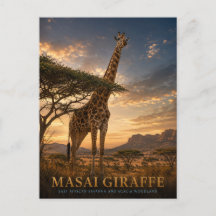 Savana Animais Girafa Masai