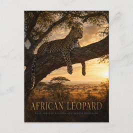 Cartão Postal Savana de Acácia com Leopardo Africano ANIMAIS