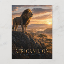 Cartão Postal Savana de Leões Africanos ANIMAIS