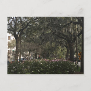 Cartão Postal Savannah Georgia