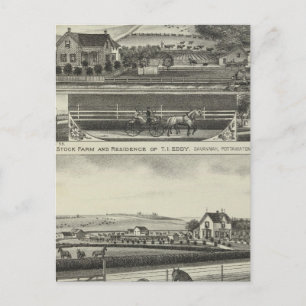 Cartão Postal Savannah Stock Farmand Residations, Kansas