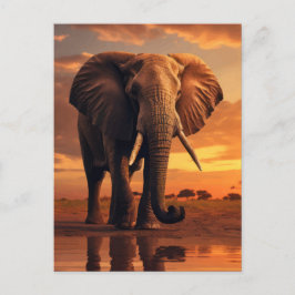 Cartão Postal Savannahs Majestade