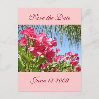 Cartão postal Save the Date Oleander