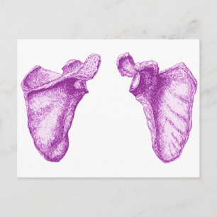 Cartão Postal Scapula Purple
