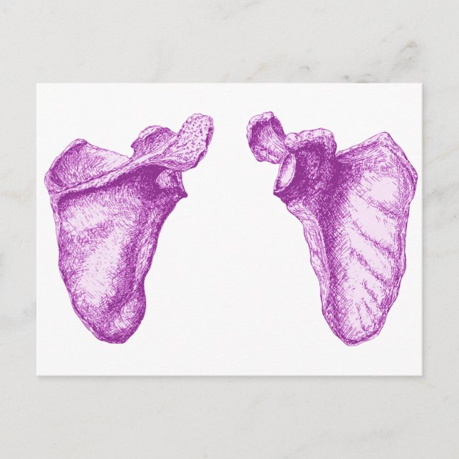 Cartão Postal Scapula Purple (Frente)