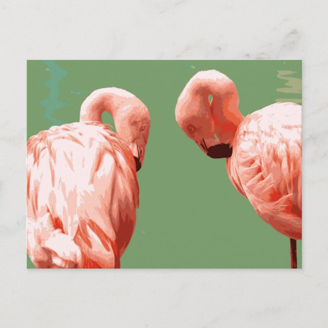 Cartão Postal Scarlet Flamingo (Frente)