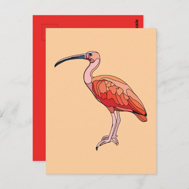 Cartão Postal Scarlet Ibis Bird (Frente/Verso)
