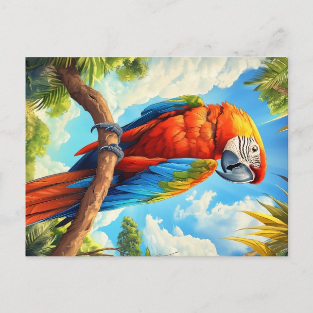 Cartão Postal Scarlet macaw (Frente)