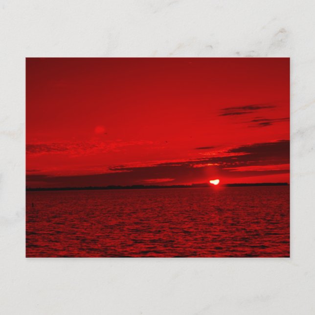 Cartão Postal Scarlet para sempre (Frente)