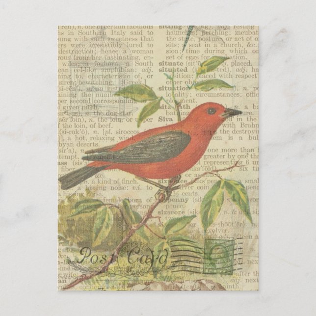 Cartão Postal Scarlet Tanager Vintage Bird Dragonfly (Frente)