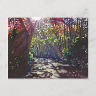 Cartão Postal Scattered light 2013