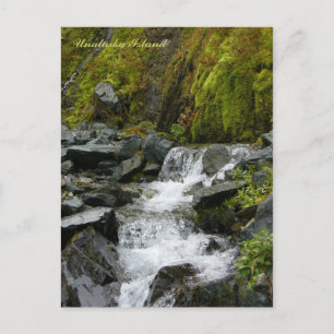 Cartão Postal Sceneek Falls, Ilha de Unalaska