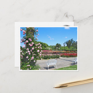 Cartão Postal Scenery of Rose Garden ポストカード