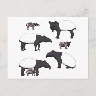 Cartão Postal Schabrackentapir selecção