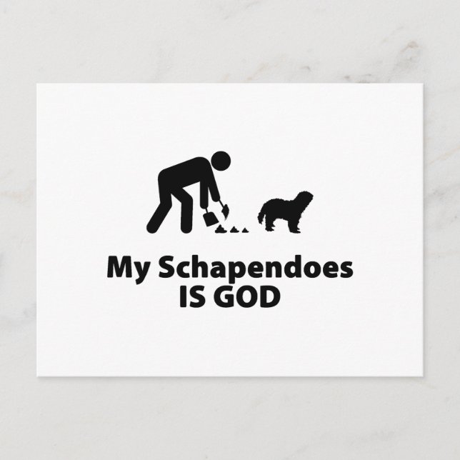 Cartão Postal Schapendos (Frente)