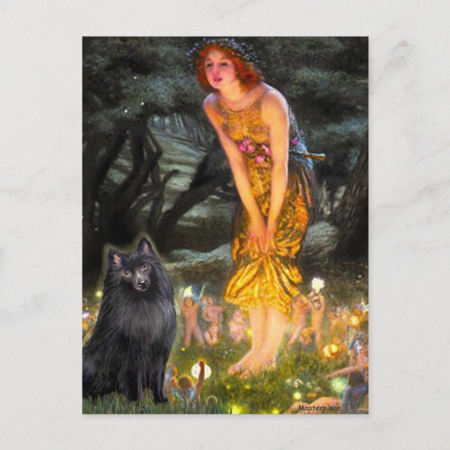 Cartão Postal Schipperke 2 - MeidEve (Frente)