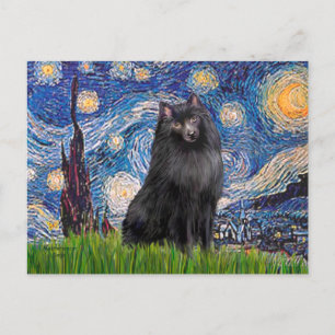 Cartão Postal Schipperke 2 - Noite estelar