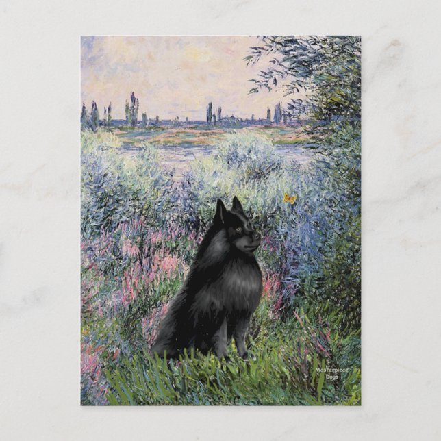 Cartão Postal Schipperke 6 - À Beira do Sena (Frente)