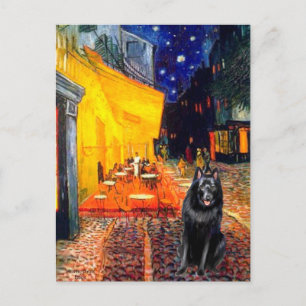 Cartão Postal Schipperke 7 - Terrace Cafe