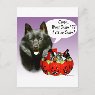 Cartão Postal Schipperke Halloween Candy