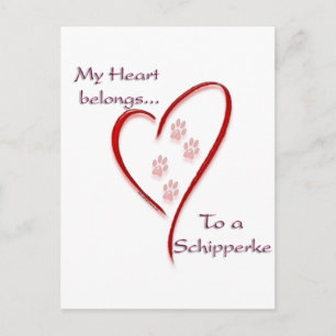 Cartão Postal Schipperke Heart Pertence
