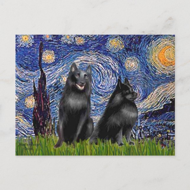Cartão Postal Schipperkees (dois,5&amp;6) - Noite Estrelada (Frente)