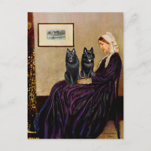 Cartão Postal Schipperkes (dois) - Mãe de Whsitler