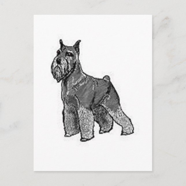 Cartão Postal Schnauzer (Frente)