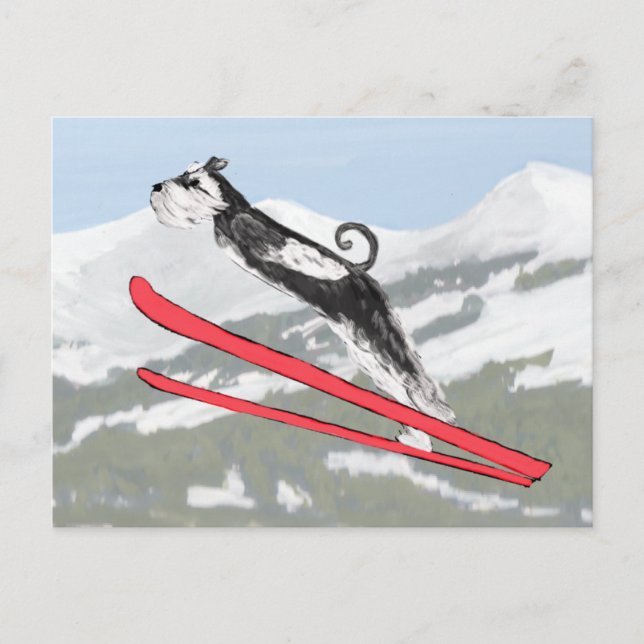 Cartão Postal Schnauzer em Skis! (Frente)