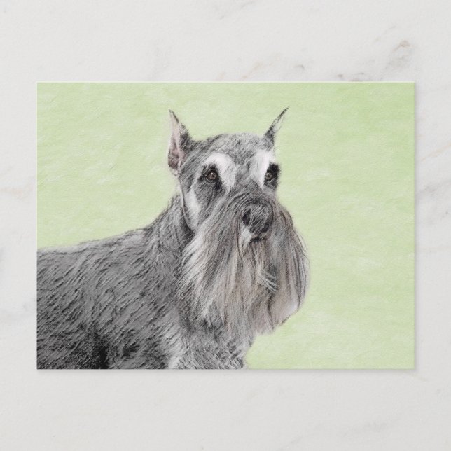 Cartão Postal Schnauzer (Gigante, Padrão) Pintura - Arte Canina (Frente)